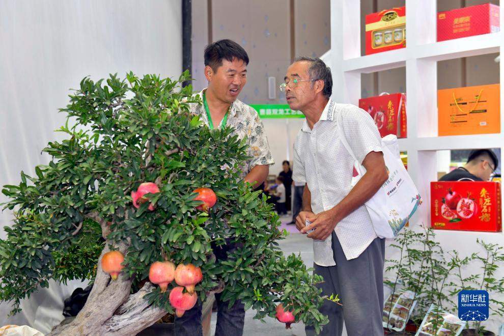 皇冠游戏城